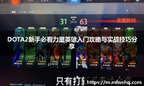 DOTA2新手必看力量英雄入门攻略与实战技巧分享