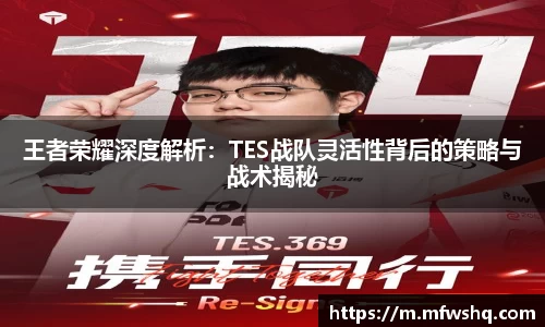 王者荣耀深度解析：TES战队灵活性背后的策略与战术揭秘