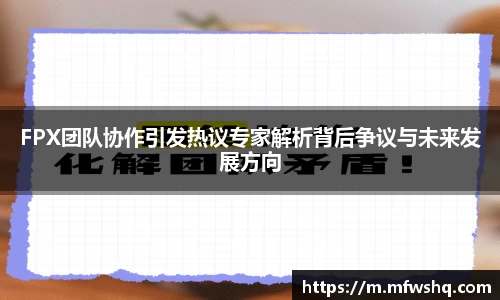 FPX团队协作引发热议专家解析背后争议与未来发展方向