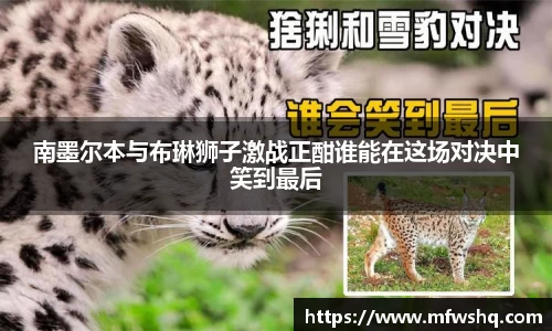 南墨尔本与布琳狮子激战正酣谁能在这场对决中笑到最后